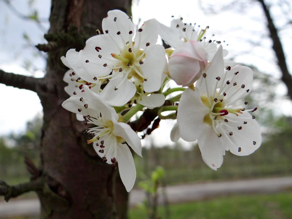 spring fragrance
