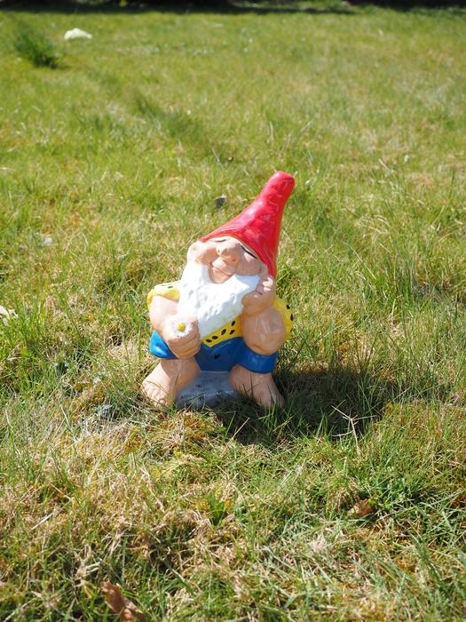 a little gnome in the green grass