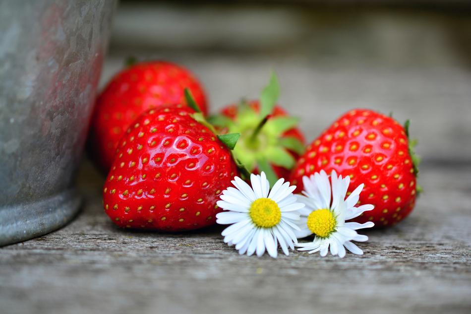 ripe strawberries and white daisies