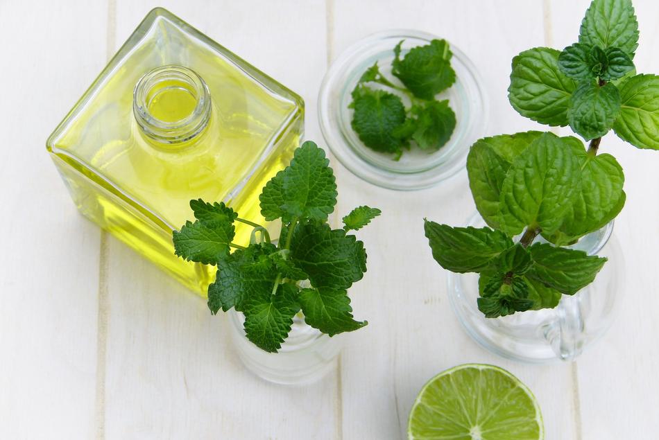 appetizing Mint Leaves and oil
