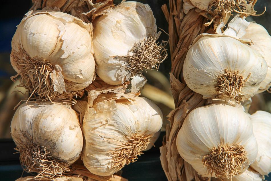 Garlic Leek Herb