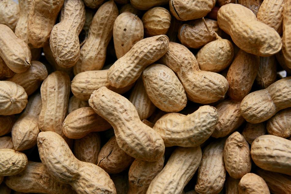 Beautiful, ripe peanuts in the shells