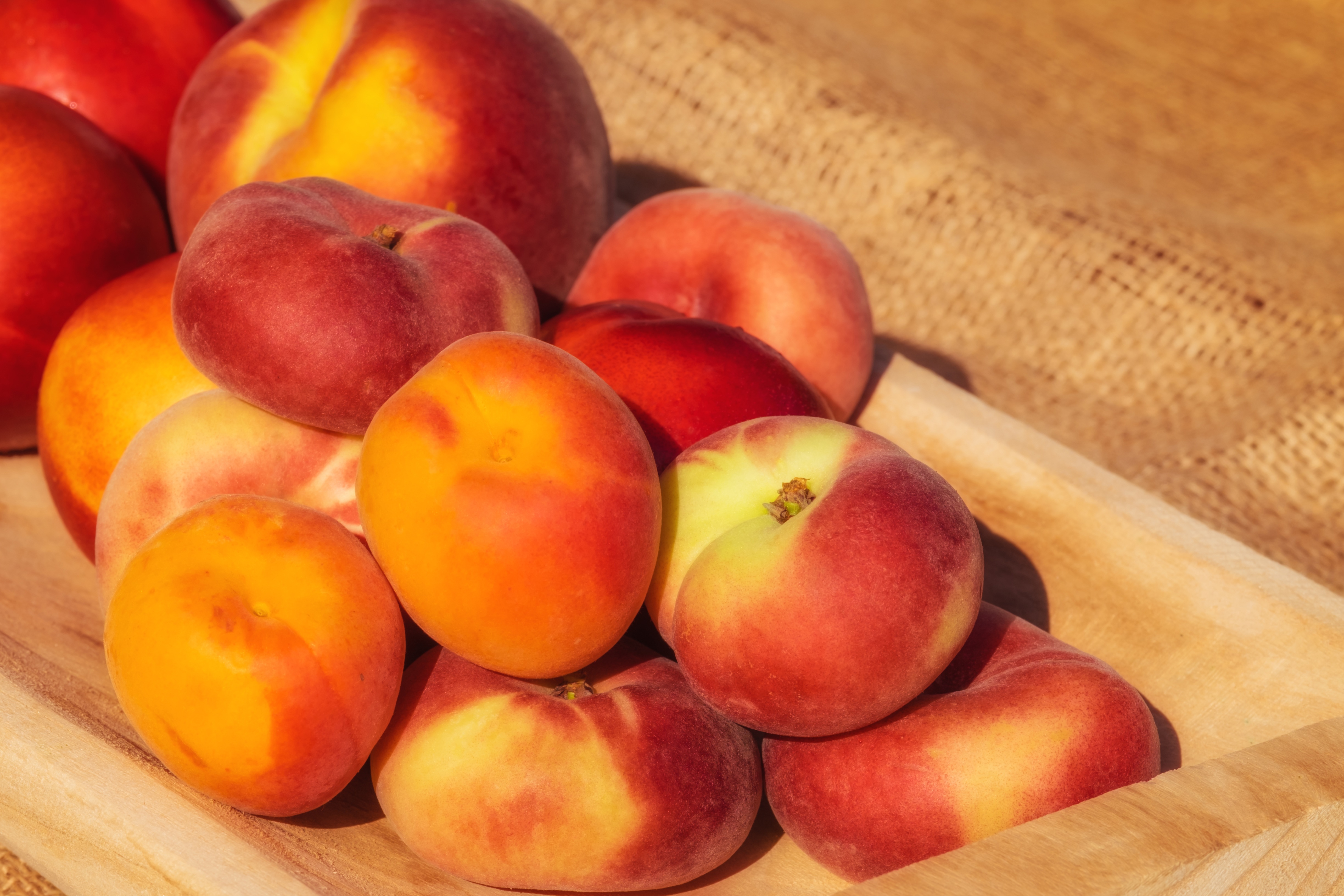 Фото абрикосов и персиков. Персик и нектарин. Нектарин и абрикос. Косточковые плоды персики. Нектарин Армения.