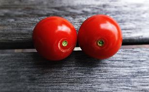 appetizing Tomato Vegetables