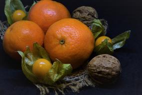 oranges, physalis and walnut