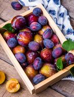 Plum Box