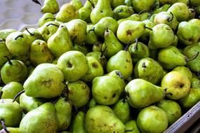 pile of healthy green pears