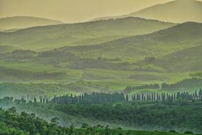 green scenic Landscape with forested hills in mist