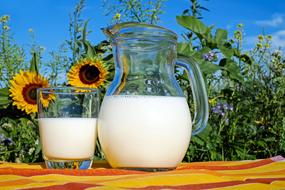 Milk Glass and flower