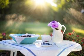 Blueberries Dessert breakfast sun
