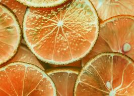 thin slices of citrus fruit, Background