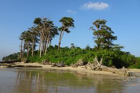 Beautiful sea beach with the plants