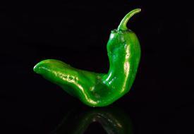 Beautiful, green paprika pepper, with the reflection, at black background