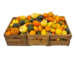 lots of pumpkins in wooden boxes for halloween