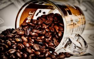 brown Coffee Beans cup