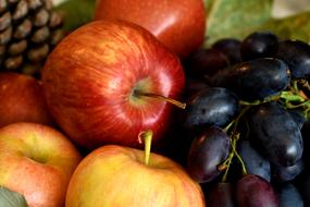 still life with fruits in autumn