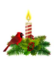 christmas ornament, drawing, cardinal bird on fir branches and candle