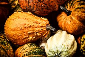 Autumn Decoration Pumpkins