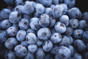 fresh organic blueberries