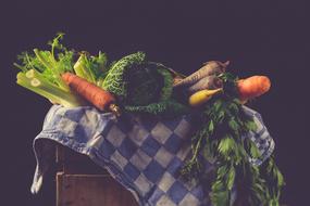 colorful raw Vegetables at darkness