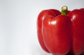 macro photo of red pepper on a white background