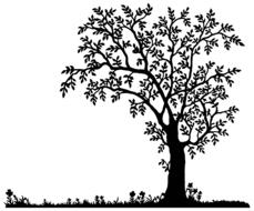 black tree as an illustration