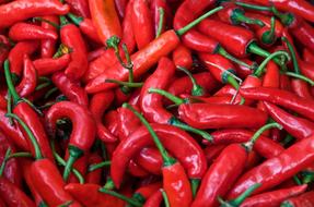 large crop of long red chili peppers