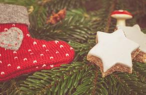 Christmas sock and cookies on a fir branch