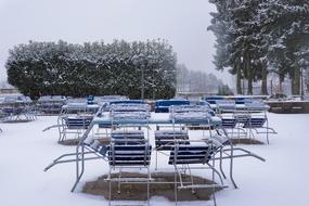 Chairs and tables of a restaurant, among the green trees in white snow, in the beautiful winter