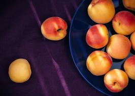 Yellow Orange Apricots