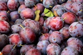 fresh Plums