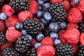 background of fresh berries