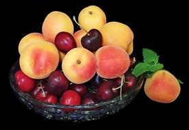 Fruit Apricots