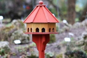 Birds House Feeding