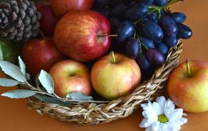 splendid Fruit Basket