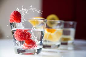 Beverages Food Photography