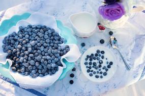 blueberries for a sweet breakfast