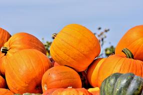 Orange Pumpkin Fruits