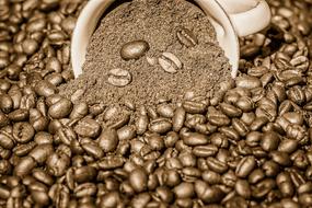 ground Coffee in Cup on pile of beans
