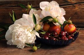 white peonies and ripe fruits on the table