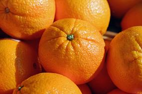 ripe orange citruses