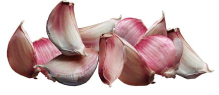 isolated pink and white garlic cloves