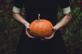 orange pumpkin in the hands of a girl