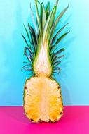 Beautiful, cut, yellow pineapple with green leaves, at pink and turquoise background