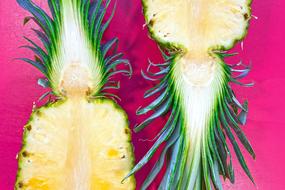 Beautiful cut, yellow and green pineapple, at pink background