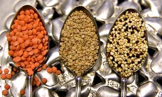 Beautiful red and green lentils and sesame in the shiny spoons