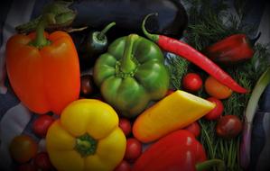 multi-colored peppers, purple eggplant, zucchini and greens