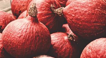 Red decorative Pumpkins in pile