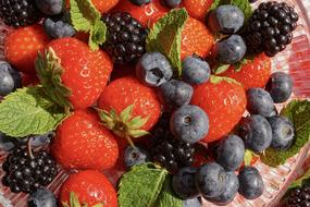 Fruits Berries