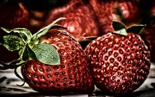 Beautiful, shiny, red strawberries with green leaves